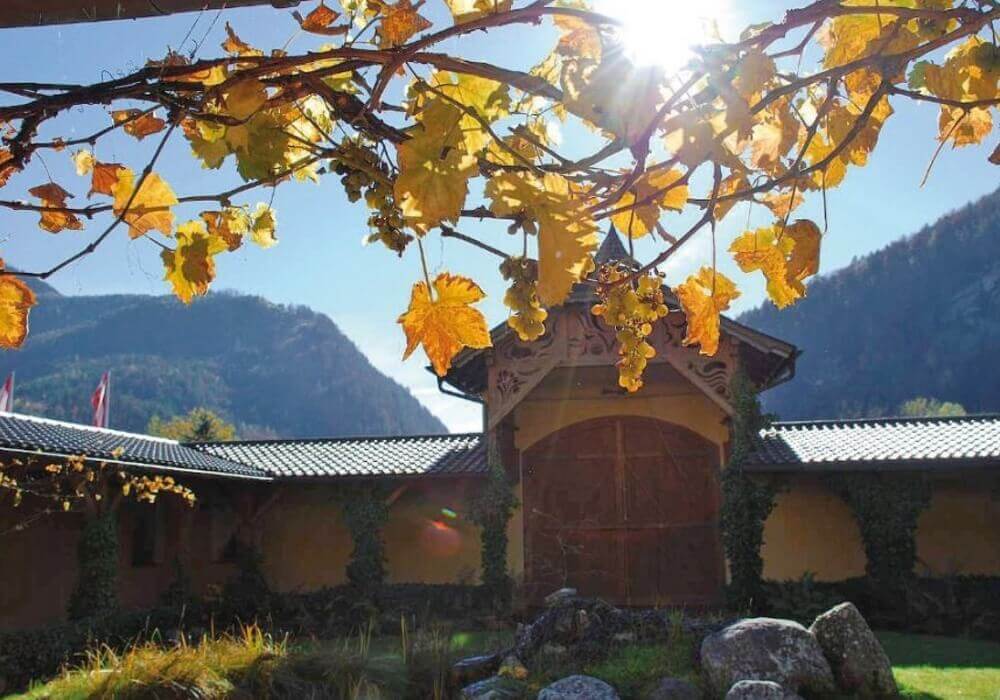 Klosterheilkunde | SeeWald Klosterspezialitäten