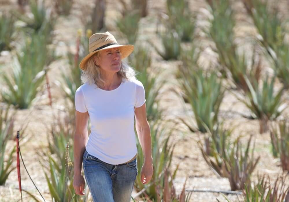 Anti-Aging mit der Sonnenpflanze Aloe-Vera