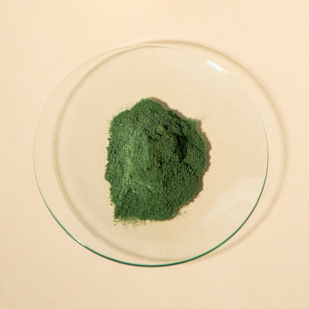 Matcha Pulver